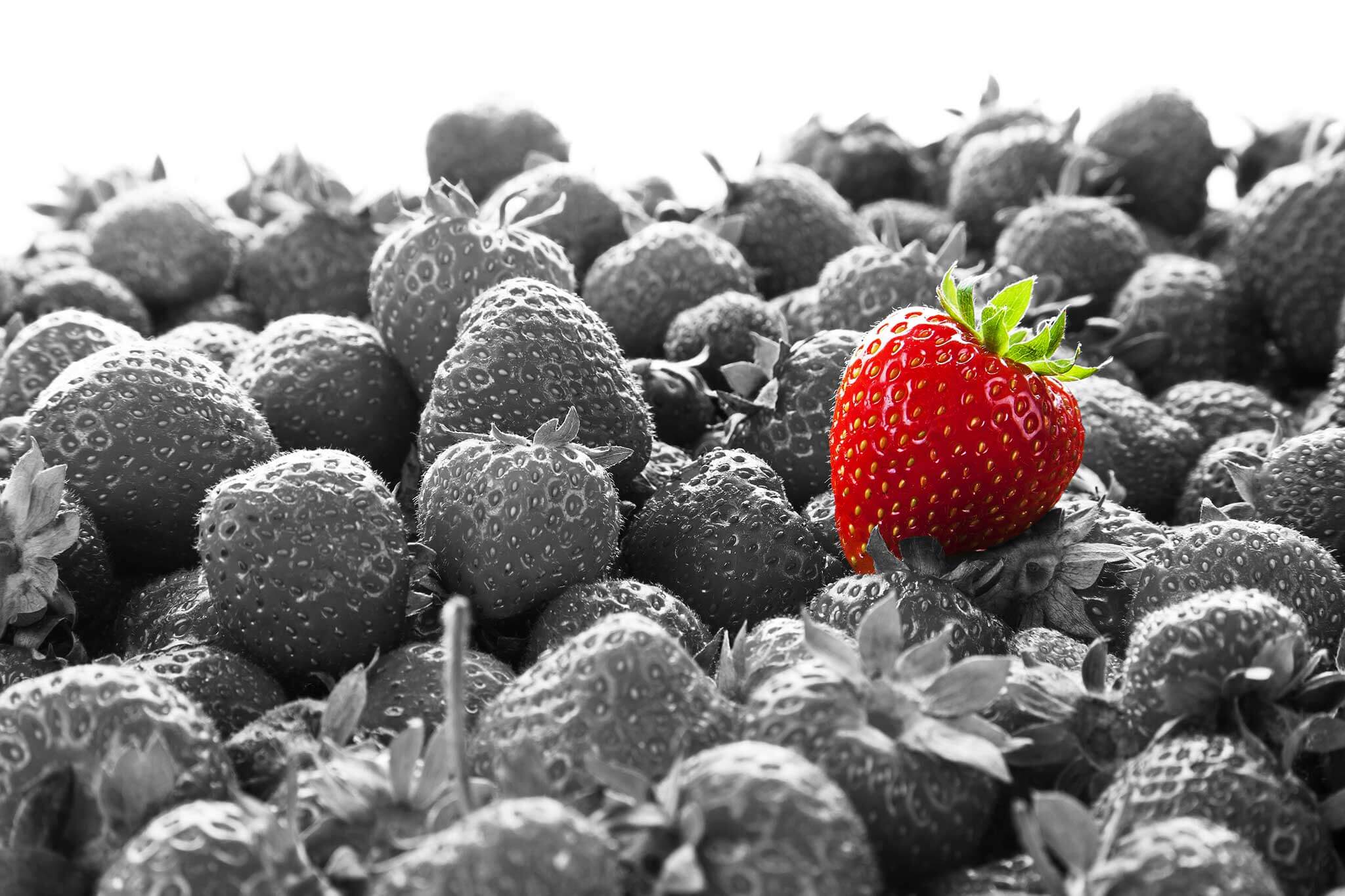stand alone strawberry image for brand marketing